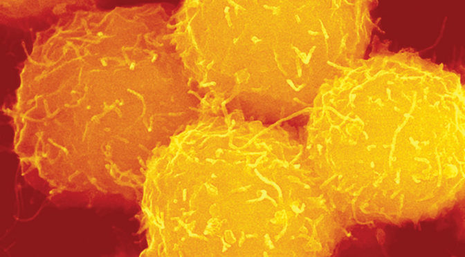 Cell manufacturing links research and industry