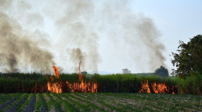 Thermal energy storage the key to reducing agricultural food pollution