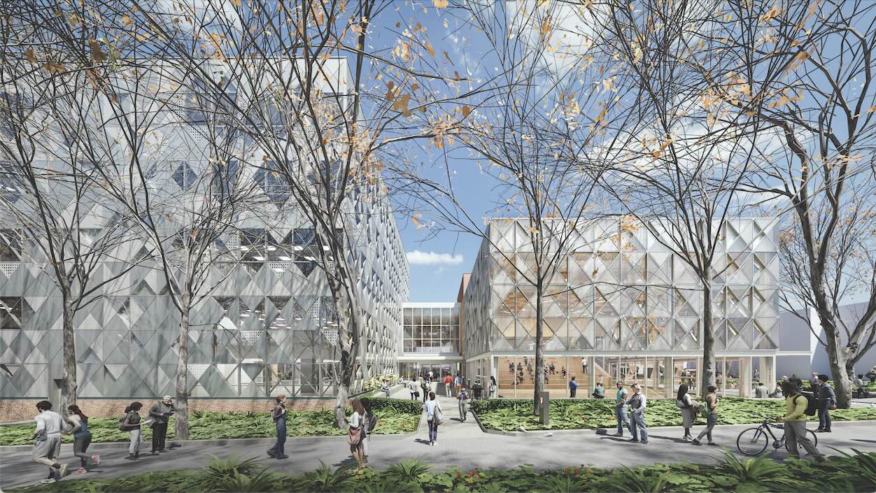 Evolution or revolution: how might the Bachelor of Science change the future?