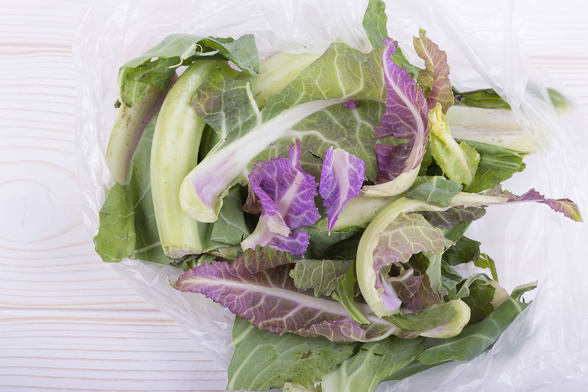 Prices of cauliflower in a plastic bag on a white wooden background. waste for compost. in a high key top view and a side